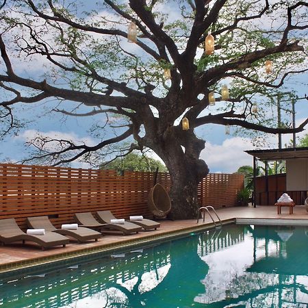 Bamboori Boutique Resort Chiang Mai Exteriör bild